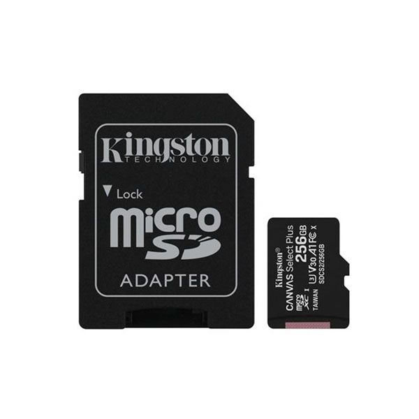 Micro SD Kingston 256 GB.